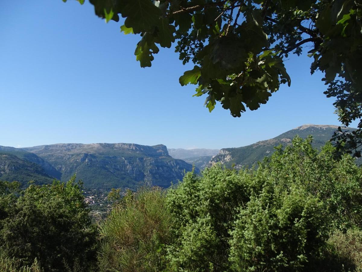 Luva D'Azur, Rez De Villa Le Riou - Le Vallon Le Bar-sur-Loup Экстерьер фото